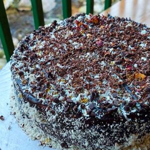 Chocochips Chocolate Cake ꭞ