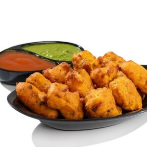 Paneer Pakora ꭞ