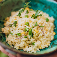 Upma ꭞ
