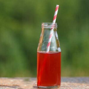 Watermelon Mint Juice ꭞ